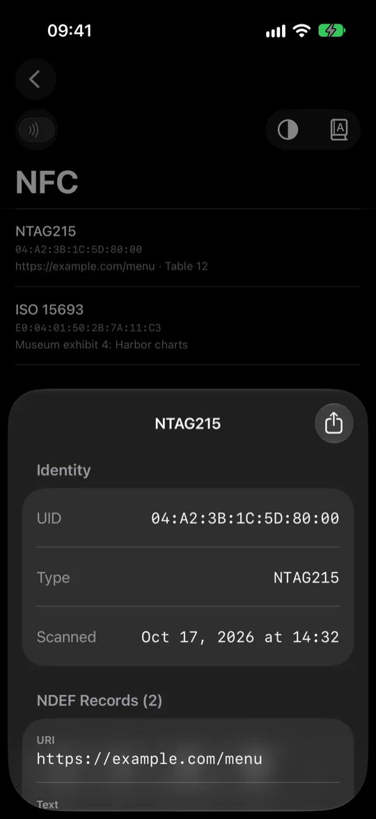 NFC tag detail showing the tag&rsquo;s UID, type and an NDEF URL record.